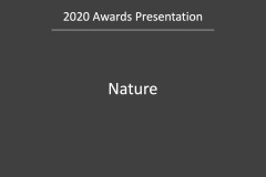 MCC-EoY2020.Slide043
