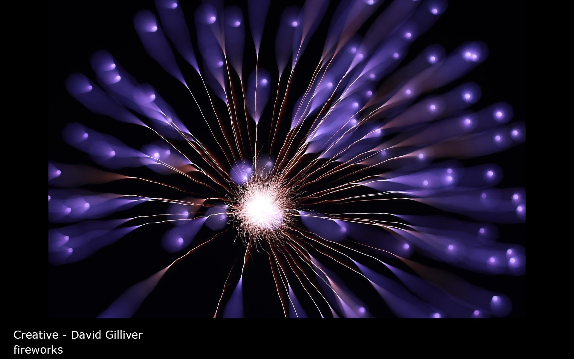 fireworks - David Gilliver