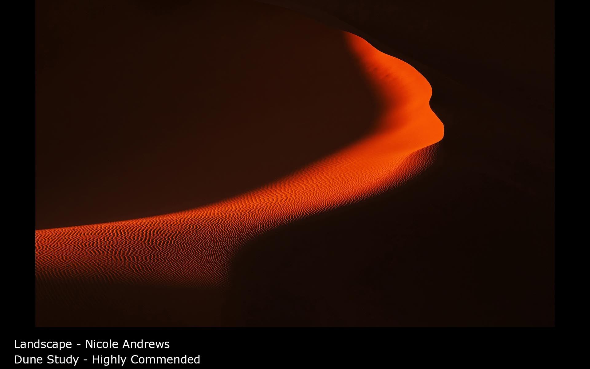 Dune Study - Nicole Andrews