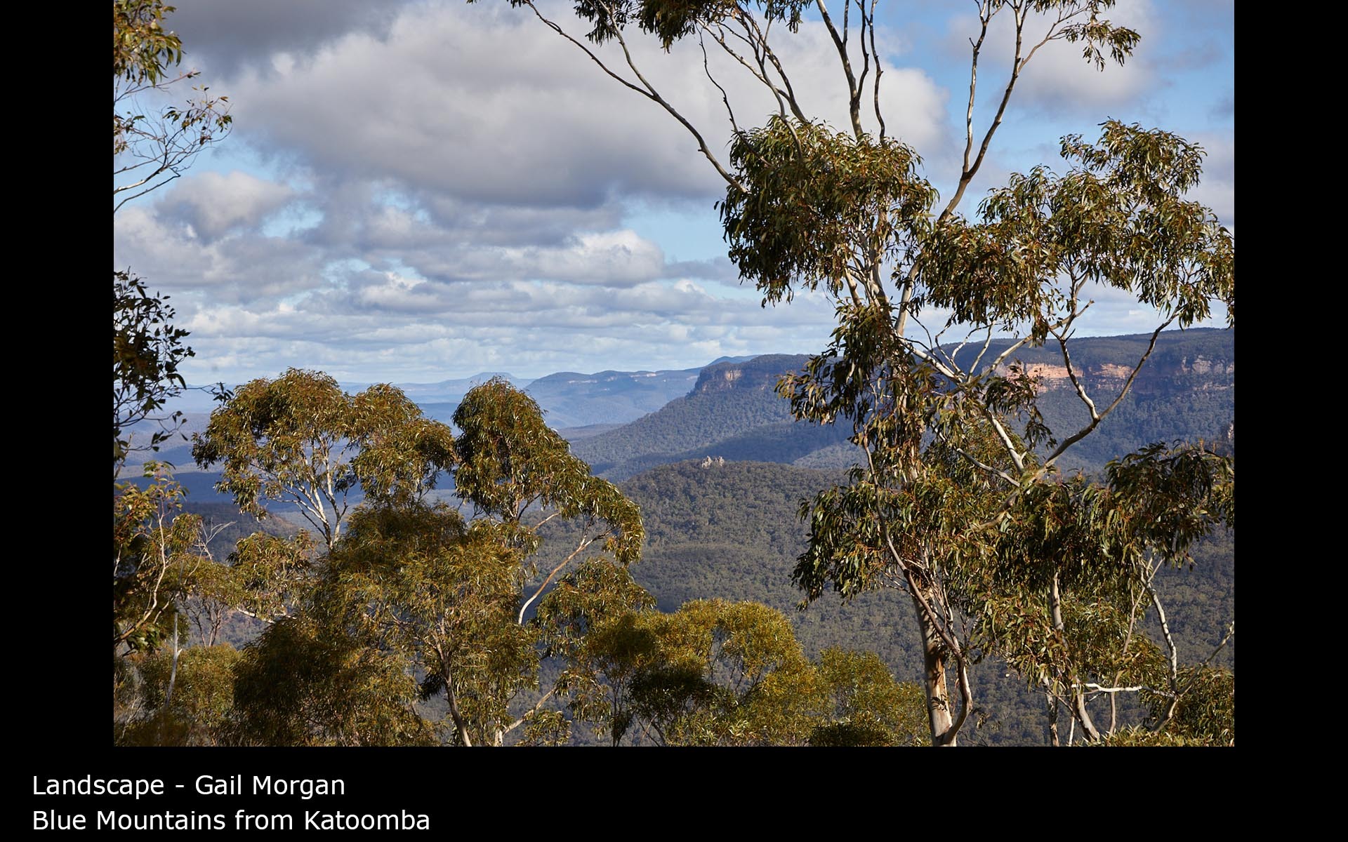 Blue Mountains from Katoomba - Gail Morgan