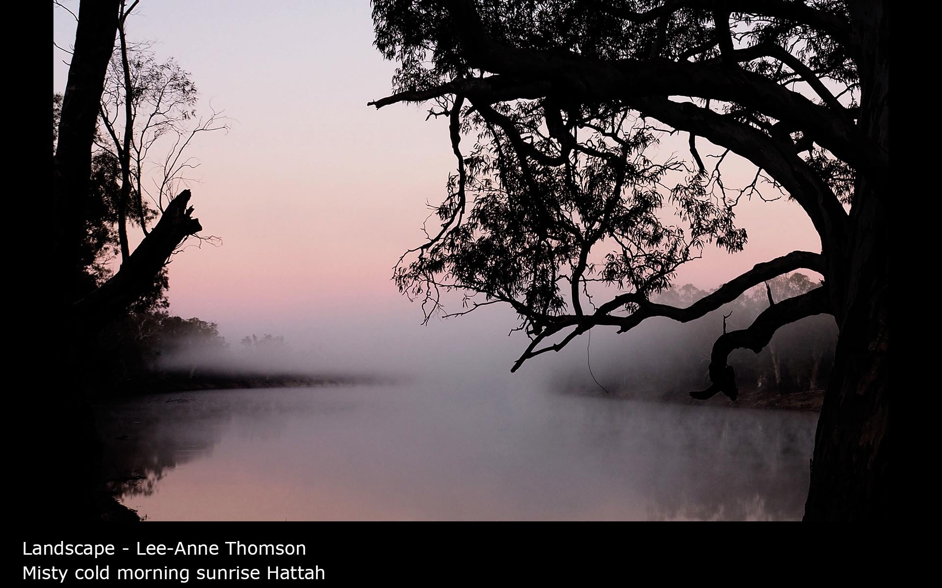 Misty cold morning sunrise Hattah  - Lee-Anne Thomson