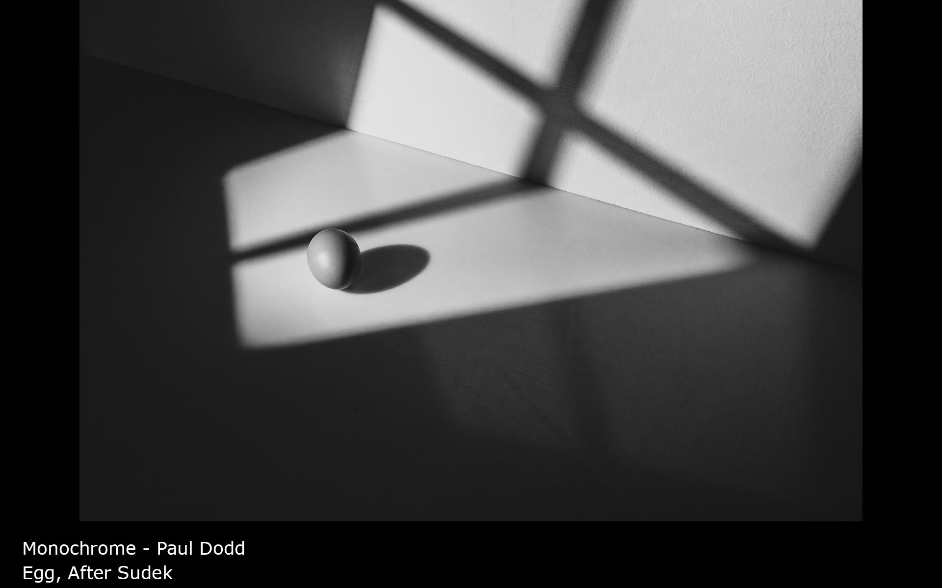 Egg, After Sudek - Paul Dodd