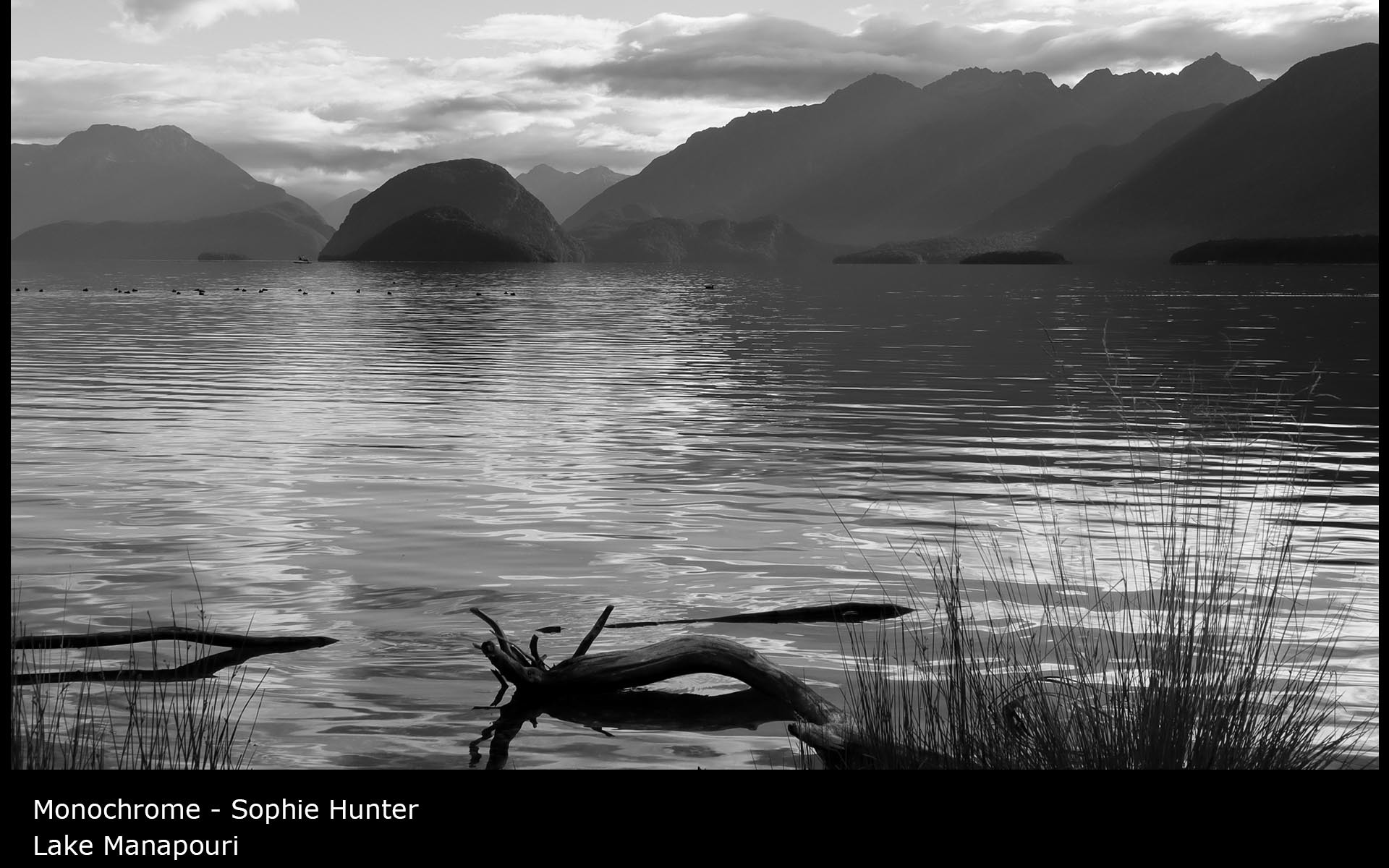 Lake Manapouri - Sophie Hunter