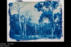 Valley Reserve - Ian Bock