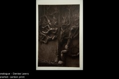gnarled: carbon print - Denise Lawry