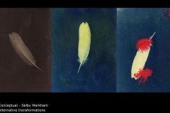 Alternative transformations - Selby Markham