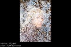 Ambuity - Gaye Beal