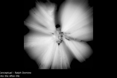 Into the After-life - Ralph Domino