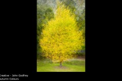 Autumn Colours - John Godfrey