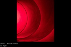 Red Paper - Annette Donald