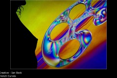 French Curves - Ian Bock