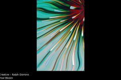 Viral Bloom - Ralph Domino