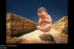 Hay, Baby - Bob Warfield
