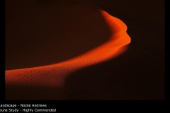 Dune Study - Nicole Andrews