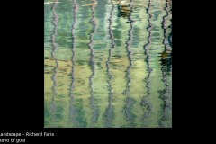 Band of gold - Richard Faris