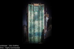 Shine - John Godfrey