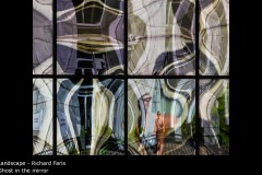 Ghost in the mirror - Richard Faris