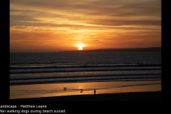 Man walking dogs during beach sunset - Matthew Leane