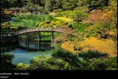 Tranquil - Alan Donald