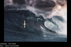 Wave - Paul Dodd