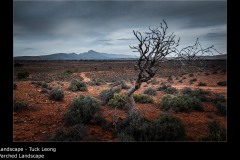 Parched Landscape - Tuck Leong