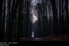 Belgian Wood - John Godfrey