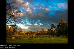 Wonga Park Wetlands - John Parkinson