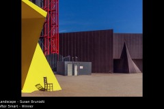 After Smart - Susan Brunialti