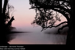 Misty cold morning sunrise Hattah  - Lee-Anne Thomson