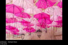 In the pink - Richard Faris