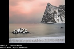 Tetrapods Yoichi - Lesley Bretherton