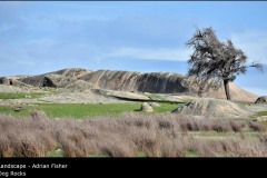 Dog Rocks - Adrian Fisher