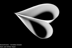 Black and White Heart - Annette Donald