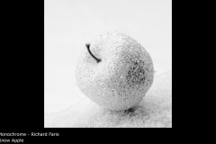 Snow Apple - Richard Faris