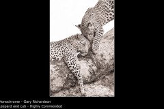 Leopard and cub - Gary Richardson