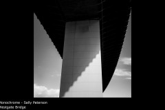 Westgate Bridge - Sally Paterson