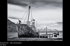 The Petre - Gary Richardson