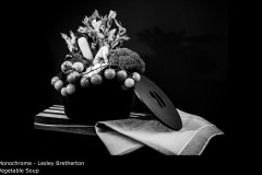 Vegetable Soup - Lesley Bretherton