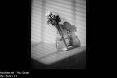 After Sudek #2 - Paul Dodd