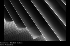 Altered Perspective - Elizabeth Jackson