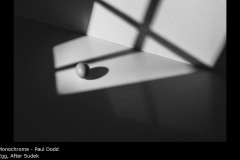 Egg, After Sudek - Paul Dodd
