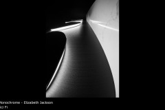 Sci Fi - Elizabeth Jackson