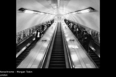 London - Morgan Tobin