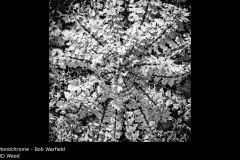 3D Weed - Bob Warfield