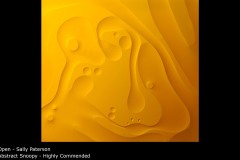 Abstract Snoopy - Sally Paterson