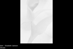Delicate - Elizabeth Jackson