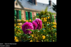 Claude's place - David Sherwood
