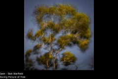 Moving Picture of Tree - Bob Warfield