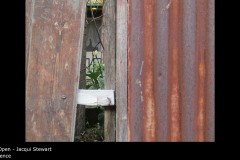 fence - Jacqui Stewart