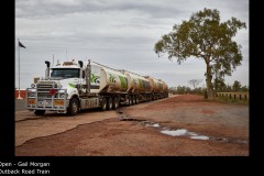 Outback Road Train - Gail Morgan